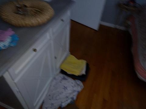 326 Goodwin St, Springfield, MA 01151 photo 17
