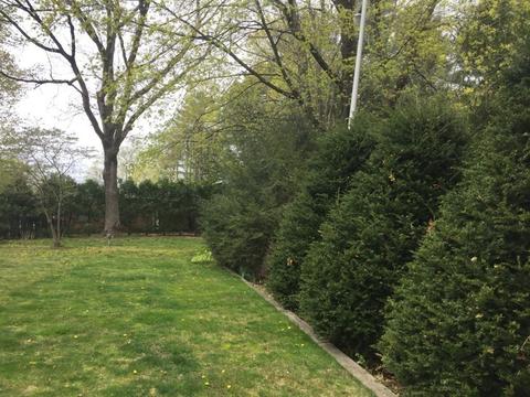 22 Scadding St, Taunton, MA 02780 photo 18