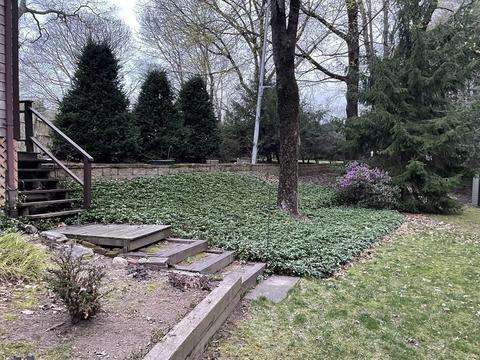 22 Scadding St, Taunton, MA 02780 photo 17