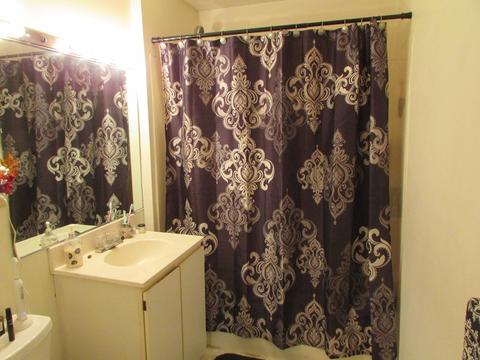 140 Chestnut St #M3, Springfield, MA 01103 photo 5