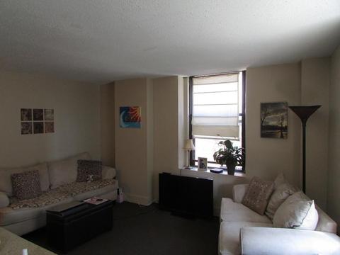 140 Chestnut St #M3, Springfield, MA 01103 photo 4