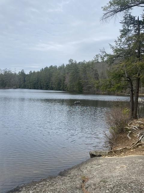 455 Tully Rd, Orange, MA 01364 photo 41