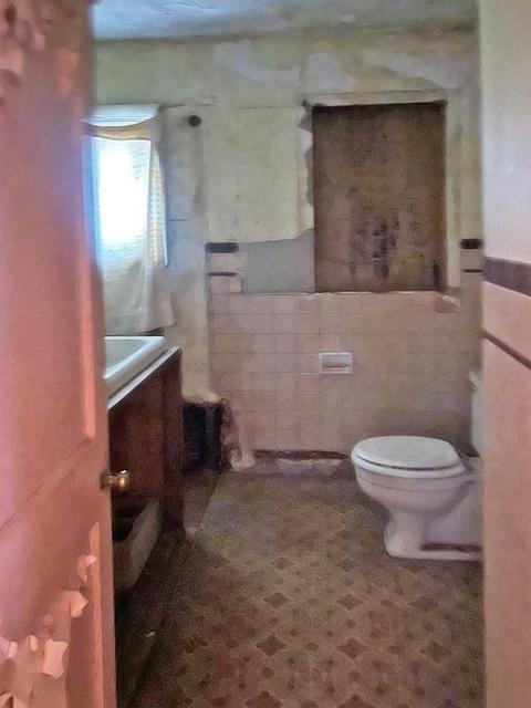 447 Plumtree Rd, Springfield, MA 01118 photo 9
