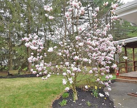 272 Old Post Rd, Sharon, MA 02067 photo 26