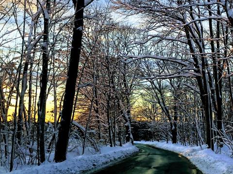 15 Grafton Rd, Upton, MA 01568 photo 42