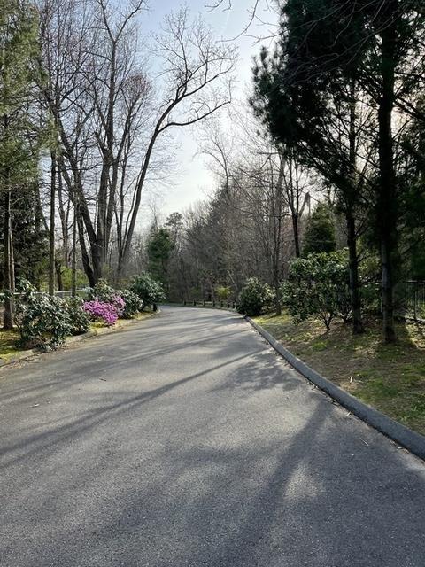 60 Corcoran Blvd, Springfield, MA 01118 photo 30