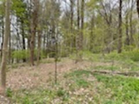 20 Spring St, Ipswich, MA 01938 photo 23