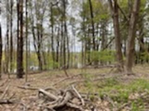 20 Spring St, Ipswich, MA 01938 photo 26