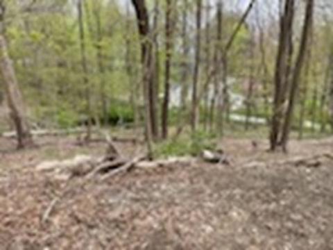 20 Spring St, Ipswich, MA 01938 photo 24