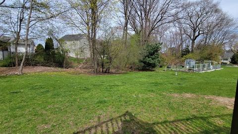 185 Evelyn Rd, Needham, MA 02494 photo 23