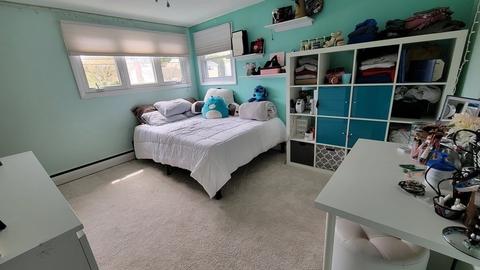 185 Evelyn Rd, Needham, MA 02494 photo 14