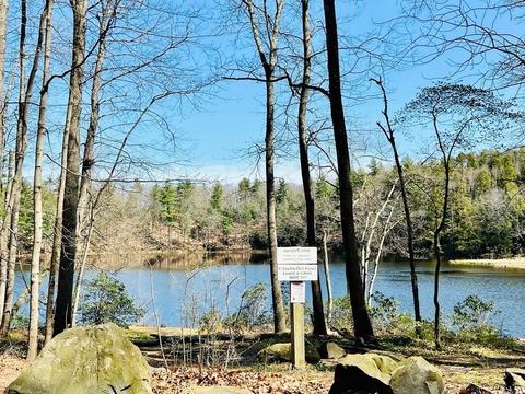 142 State St, Amherst, MA 01002 photo 26