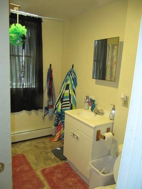 10 Cottage St, Worcester, MA 01609 photo 17
