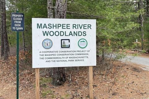 24 Captains Row, Mashpee, MA 02649 photo 39