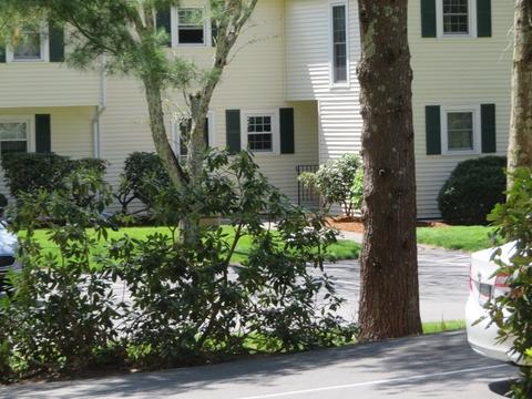 285 E Main St #18, Norton, MA 02766 photo 2
