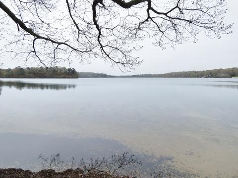 43 Turtleback Rd, Barnstable, MA 02648 photo 21