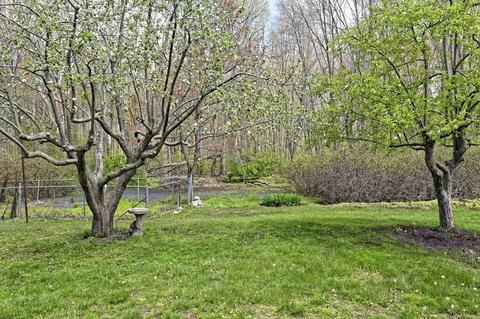 150 Spring St, Millis, MA 02054 photo 42