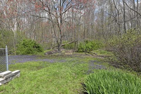 150 Spring St, Millis, MA 02054 photo 40