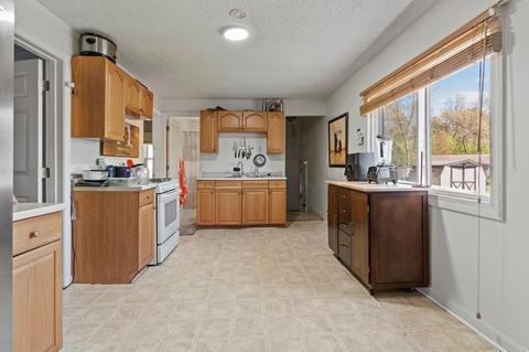 223 Almira Rd, Springfield, MA 01119 photo 5