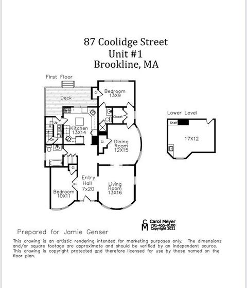 87 Coolidge St #1, Brookline, MA 02446 photo 25
