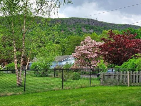 11 Grove St, Easthampton, MA 01027 photo 37