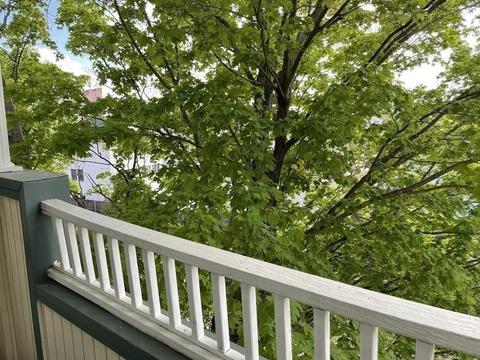 38 Carter St #312, Everett, MA 02149 photo 21