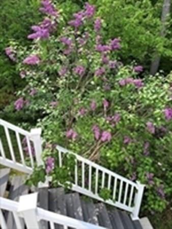 36 Brooks St, Upton, MA 01568 photo 25