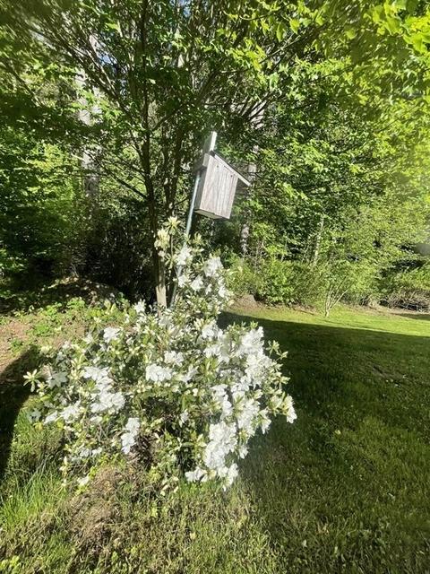 36 Brooks St, Upton, MA 01568 photo 29