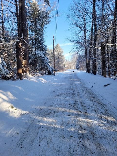 20 Knott Rd, Heath, MA 01346 photo 38