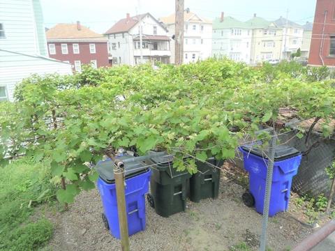 143 Jencks St, Fall River, MA 02723 photo 10