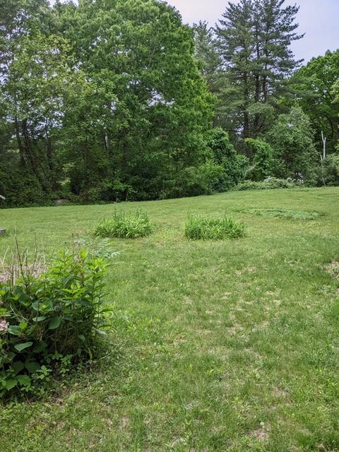 359 Concord St, Gloucester, MA 01930 photo 8