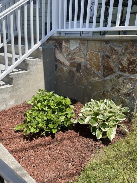 128 Covel St, Fall River, MA 02723 photo 5