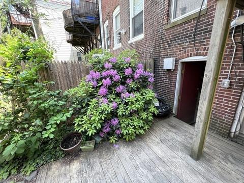 464 E 3rd St, Boston, MA 02127 photo 29