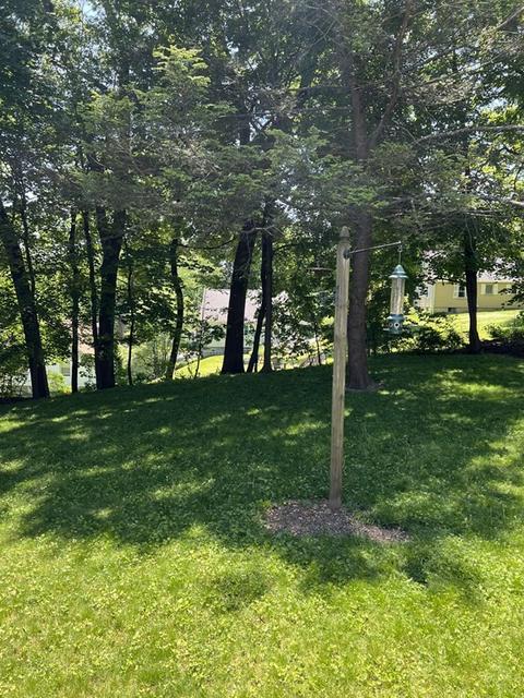 31 Royal Rd, Worcester, MA 01603 photo 3