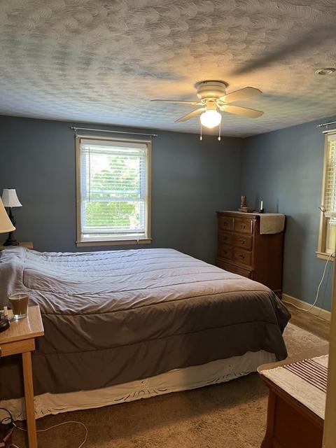 31 Royal Rd, Worcester, MA 01603 photo 20