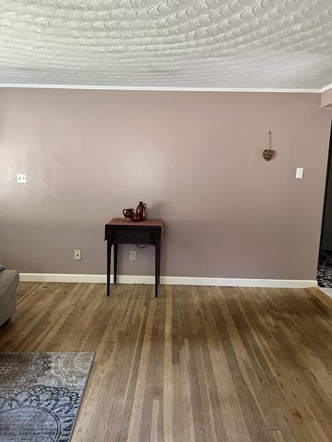 31 Royal Rd, Worcester, MA 01603 photo 12