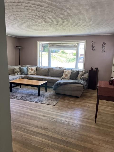 31 Royal Rd, Worcester, MA 01603 photo 9