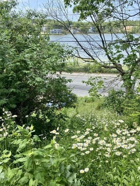 50 Summit Ave, Hull, MA 02045 photo 24