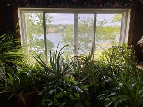 50 Summit Ave, Hull, MA 02045 photo 17