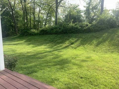 98 Basil Rd, Chicopee, MA 01020 photo 41