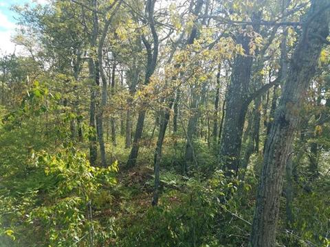 0 Route 28, Harwich, MA 02645