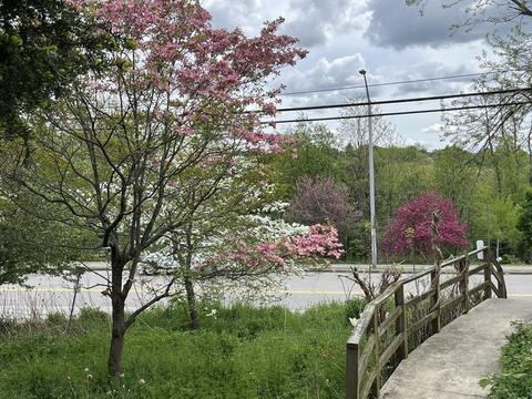 88 Randolph Rd, Worcester, MA 01606 photo 35