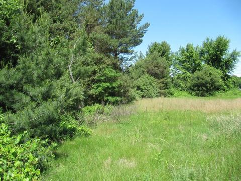 1026 Southampton Rd, Westfield, MA 01085