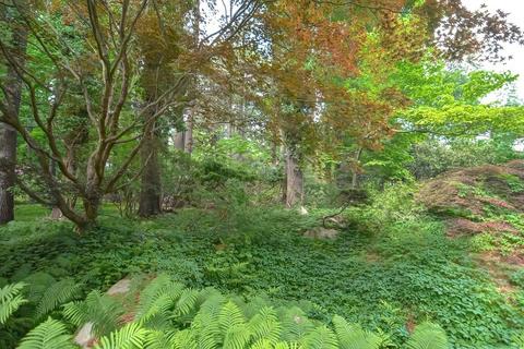 50 Causeway St, Millis, MA 02054 photo 8