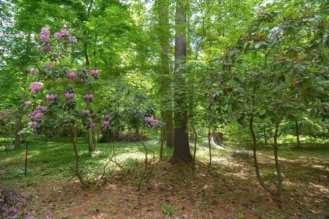 50 Causeway St, Millis, MA 02054 photo 42