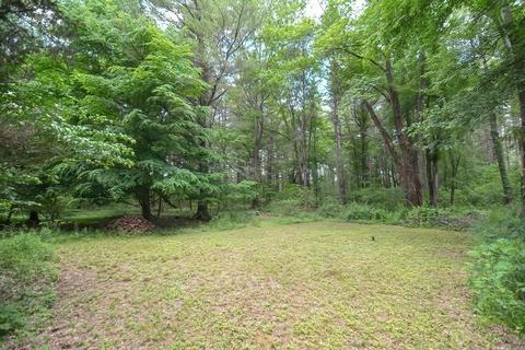 50 Causeway St, Millis, MA 02054 photo 41