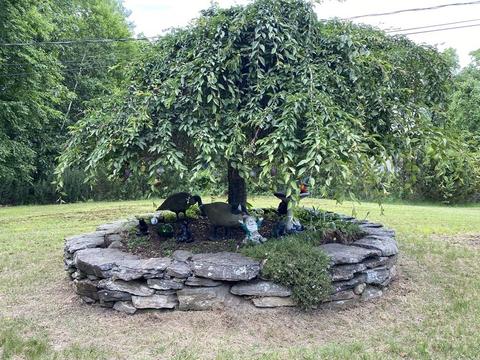 179 Osborne Rd, Ware, MA 01082 photo 20