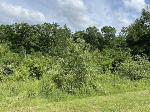 179 Osborne Rd, Ware, MA 01082 photo 25