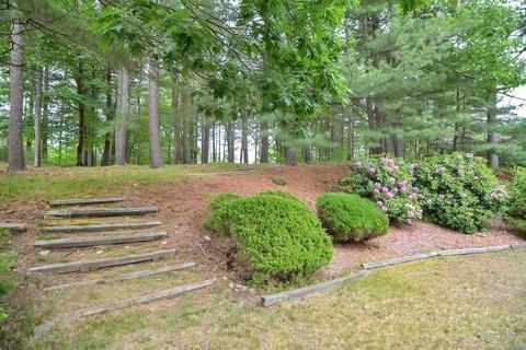 7 Reeve Rd, Sharon, MA 02067 photo 38