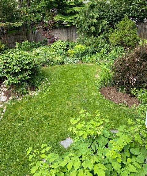 74 High St, Needham, MA 02494 photo 18